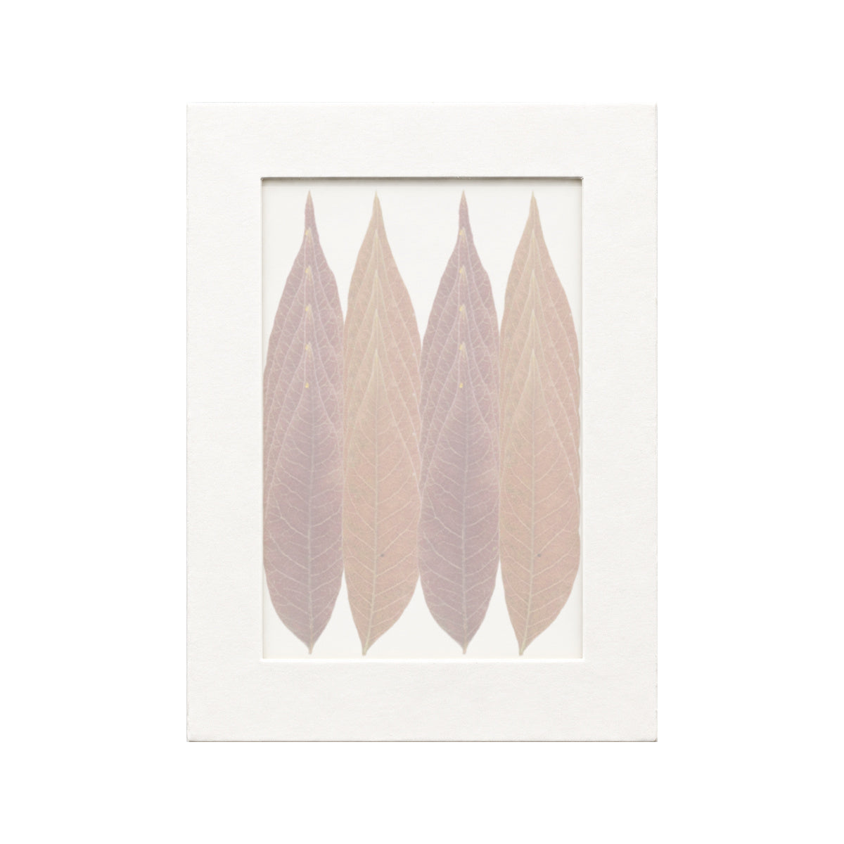 20 pressed Sumac Leaflets pieces in autumn beneath translucent tracing paper