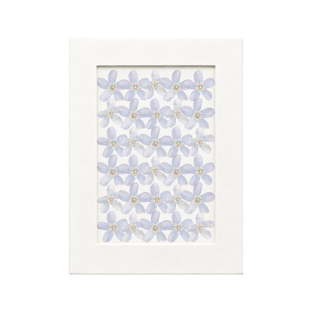 30 pressed Blue Star pieces in blue beneath translucent tracing paper