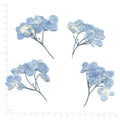 Blue pressed flower hydrangea with stems on a measurement grid
