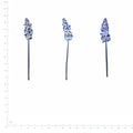 Pressed Flower Salvia, Blue beside a 180 mm ruler