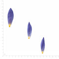 Pressed Water Lily Petals specimens in blue with their natural shape and texture