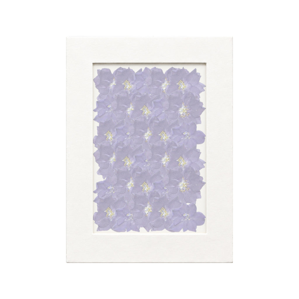 30 pressed Larkspur pieces in deep purple beneath translucent tracing paper