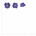 Pressed Larkspur specimens in deep purple with their natural shape and texture