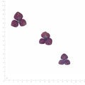 Pressed Hydrangea specimens in deep ruby red with their natural shape and texture