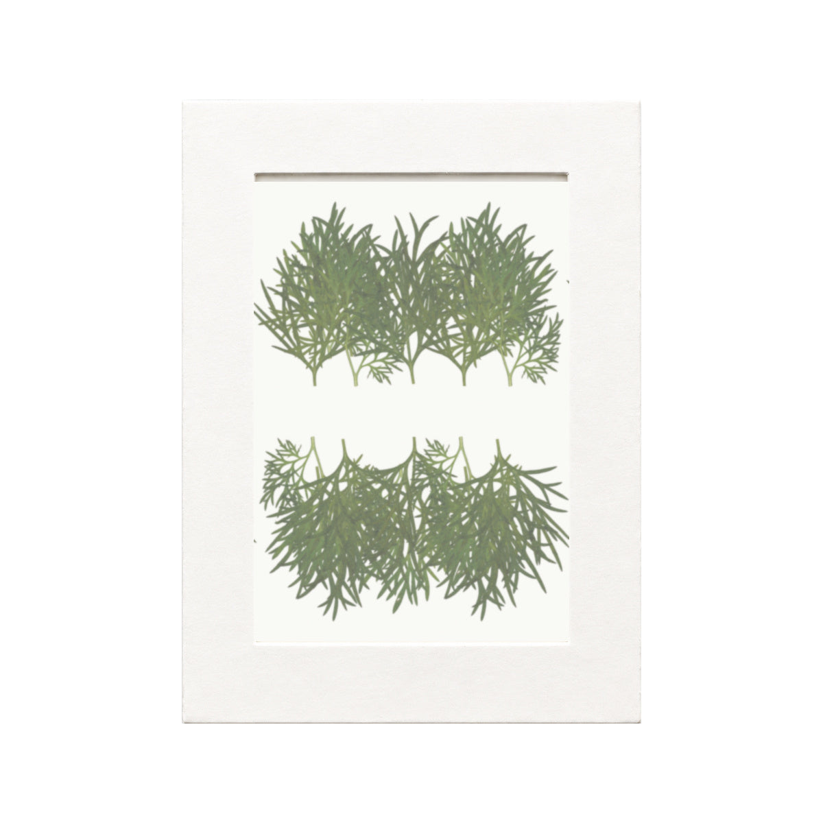 Pressed Larkspur Leaves, Green, 20 pieces in white kraft packaging beneath translucent tracing paper