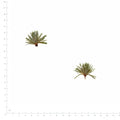 Pressed Pine Needles, Green beside a 180 mm ruler
