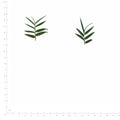Pressed Bamboo, Green beside a 180 mm ruler