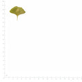 Pressed Ginkgo Leaves specimens in green beside a metric ruler