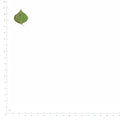 Pressed Chinese Tallow Leaves specimens in green beside a metric ruler