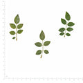 Pressed Rose Leaves, Natural Green beside a 180 mm ruler