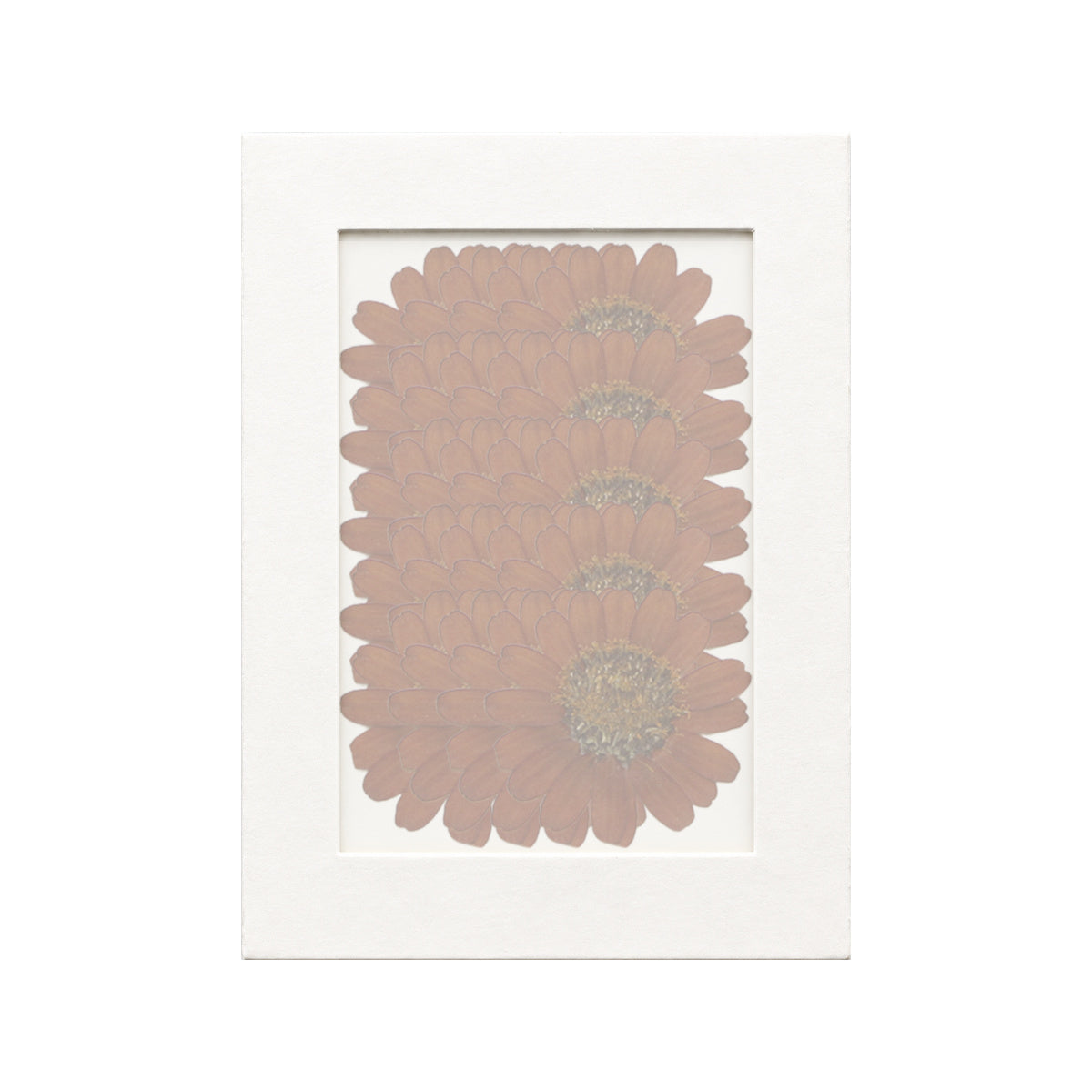 20 pressed Zinnia pieces in orange beneath translucent tracing paper