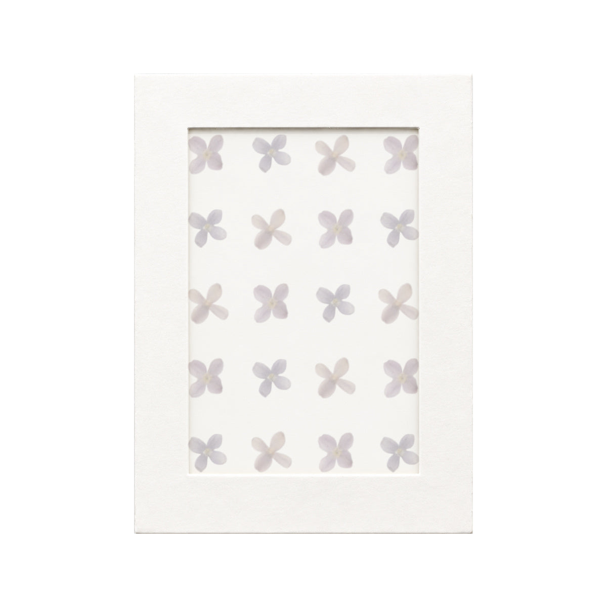 20 pressed Lilac pieces in their natural botanical colors beneath translucent tracing paper