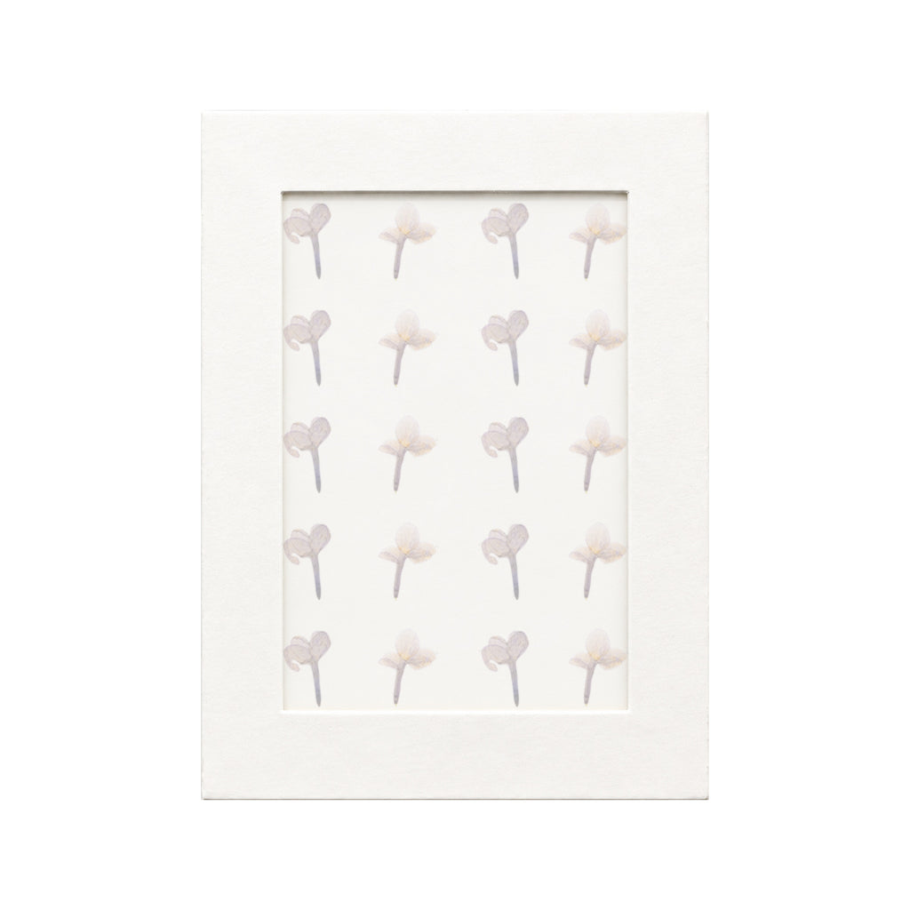 20 pressed Lilac pieces in their natural botanical colors beneath translucent tracing paper