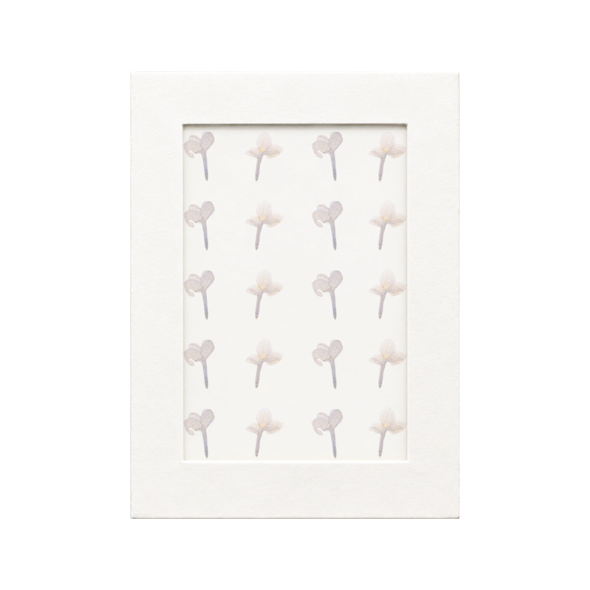 20 pressed Lilac pieces in their natural botanical colors beneath translucent tracing paper