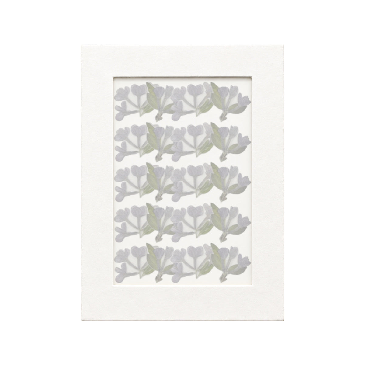 20 pressed Lilac pieces in their natural botanical colors beneath translucent tracing paper