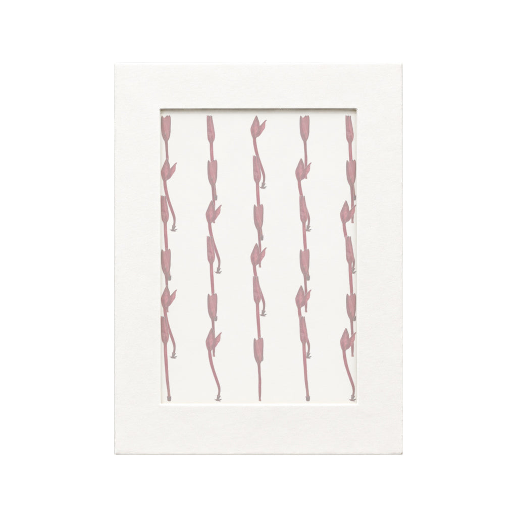 30 pressed Ixora Buds pieces in their natural botanical colors beneath translucent tracing paper