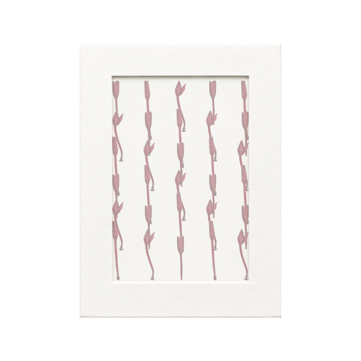 30 pressed Ixora Buds pieces in their natural botanical colors beneath translucent tracing paper