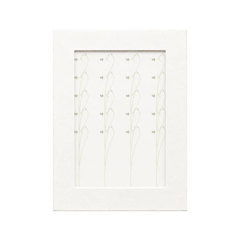 20 pressed Balloon Vine Tendrils pieces beneath translucent tracing paper