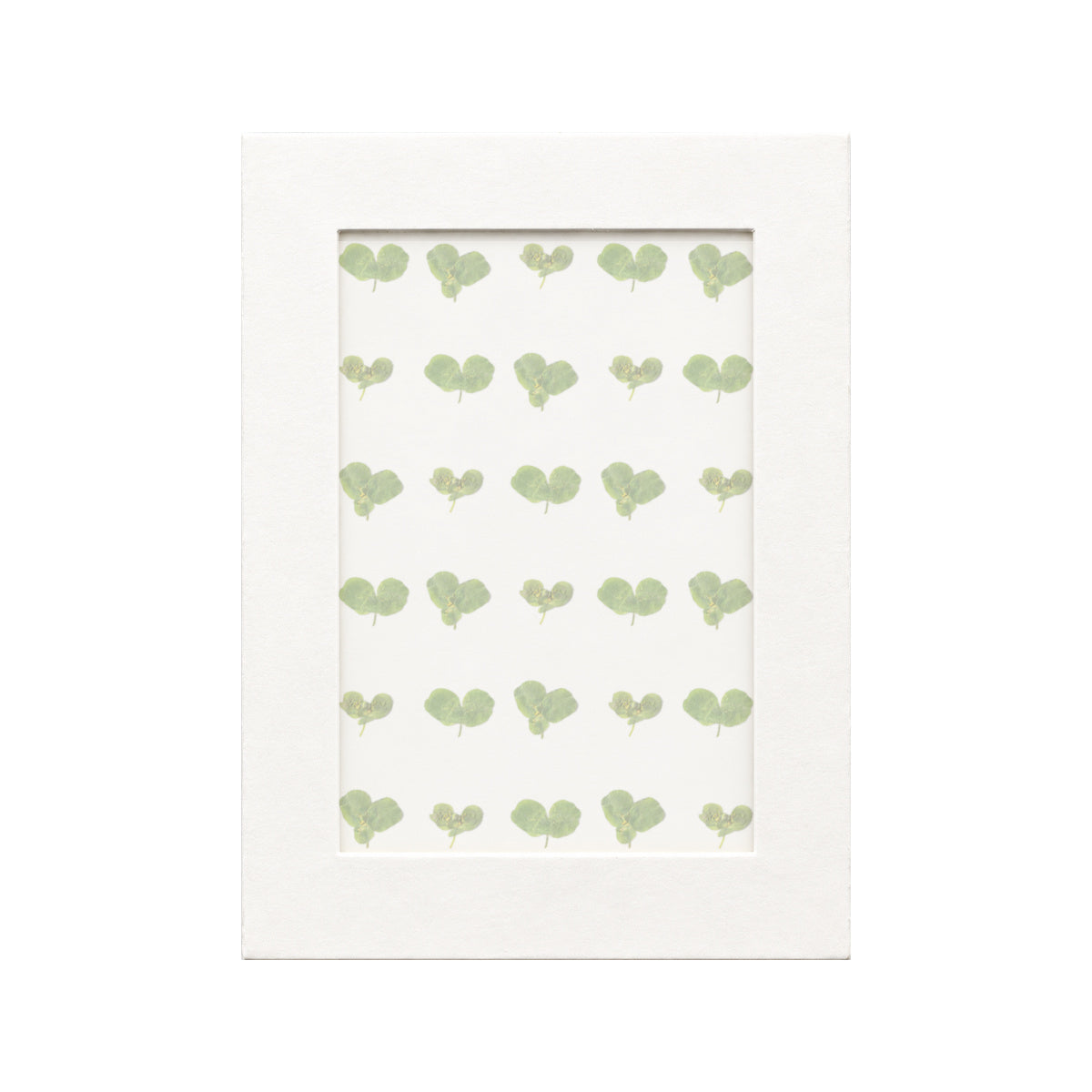30 pressed Euphorbia Leaves pieces beneath translucent tracing paper