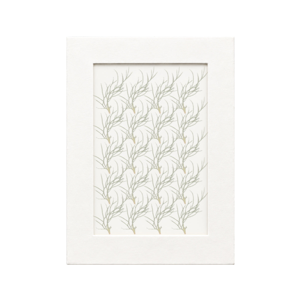 20 pressed Nigella Leaves pieces beneath translucent tracing paper