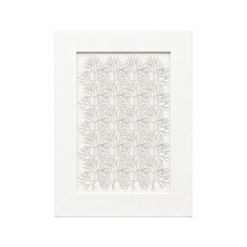 20 pressed Coriander Leaves pieces beneath translucent tracing paper