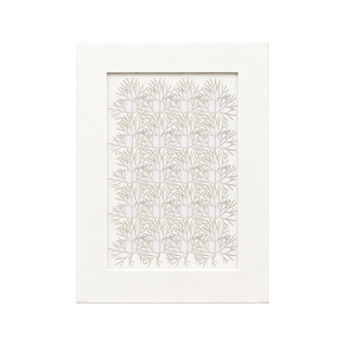 20 pressed Coriander Leaves pieces beneath translucent tracing paper