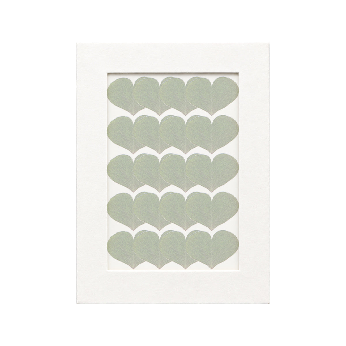 20 pressed Wood Sorrel Leaflets pieces beneath translucent tracing paper