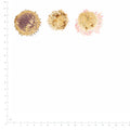 Pressed Gerbera Flower Centers specimens retaining their original shape and botanical color