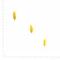 Pressed Sunflower Petals specimens retaining their original shape and botanical color