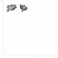 Pressed Lilac specimens retaining their original shape and botanical color