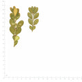 Pressed Boxwood specimens beside a metric ruler, retaining their original shape and botanical colors