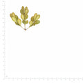 Pressed Boxwood specimens beside a metric ruler, retaining their original shape and botanical colors