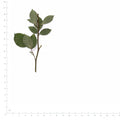Pressed Rose specimens beside a metric ruler, retaining their original shape and botanical colors