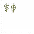 Pressed Marguerite Daisy Leaves specimens beside a metric ruler, retaining their original shape and botanical colors