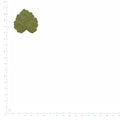 Pressed Grape Leaves specimens beside a metric ruler, retaining their original shape and botanical colors