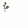 Pressed Orange Jasmine specimens beside a metric ruler, retaining their original shape and botanical colors
