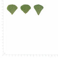 Pressed Clover Leaflets specimens beside a metric ruler, retaining their original shape and botanical colors