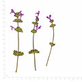 Pressed Henbit flowers with stems in their original botanical color beside a metric ruler