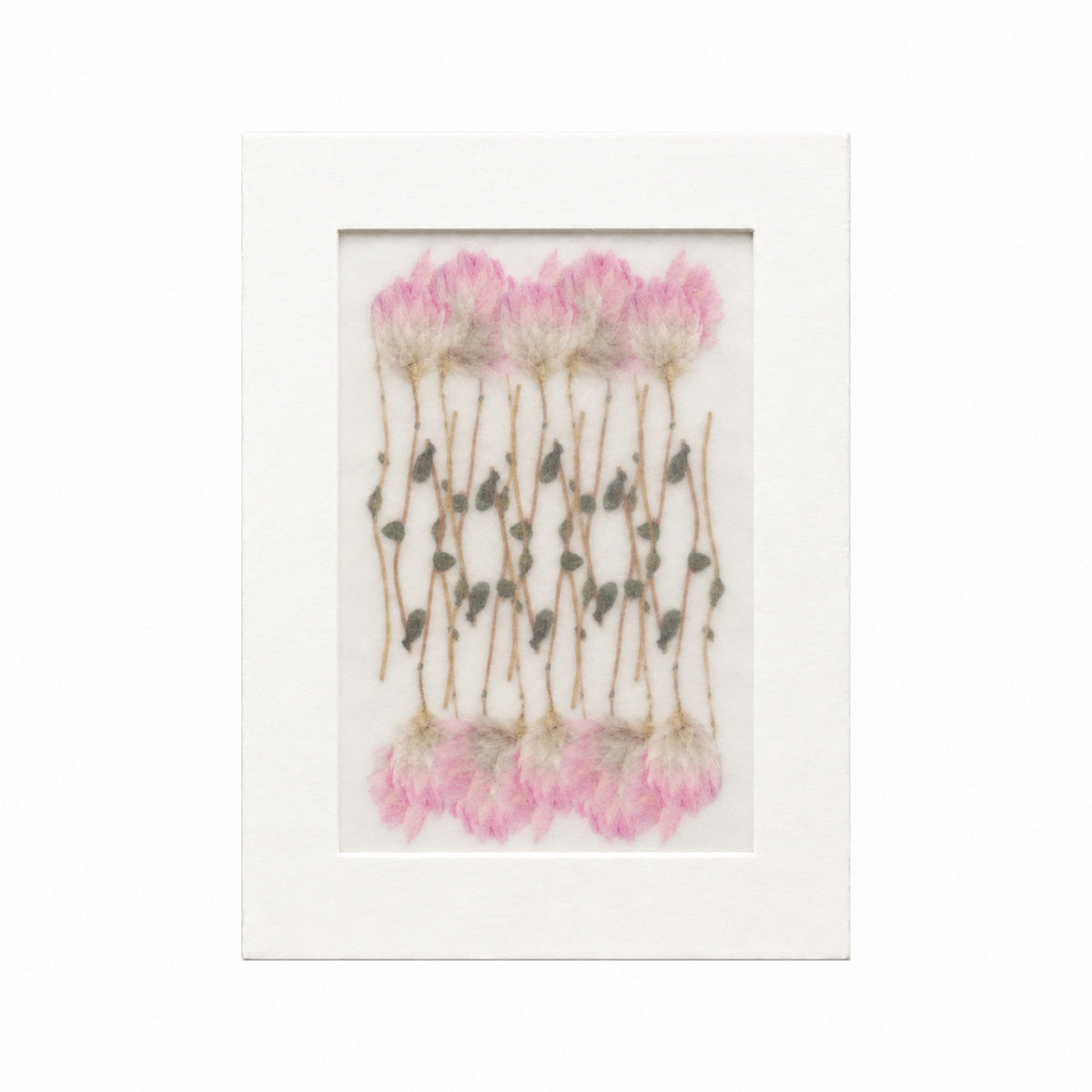 Pressed Flower Paper Daisy, Pink, 20 pieces in white kraft packaging beneath translucent tracing paper