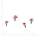 Natural pink dianthus flower heads on a measurement grid