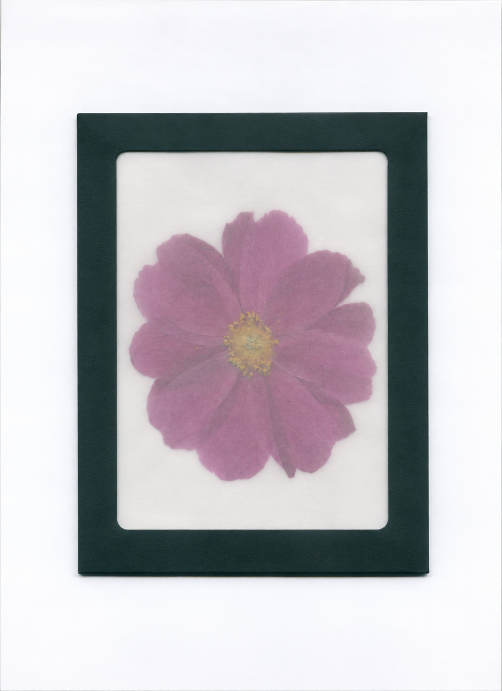 Pressed Flower Peony packaging with a dark green border and translucent front
