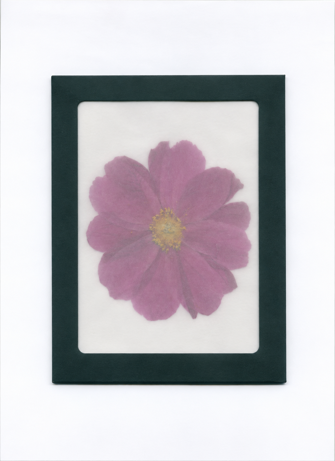Pressed Flower Peony packaging with a dark green border and translucent front