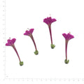 Natural purple four o'clock flower heads on a measurement grid