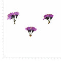 Pressed Flower Cherry Blossom, Purple beside a 180 mm ruler
