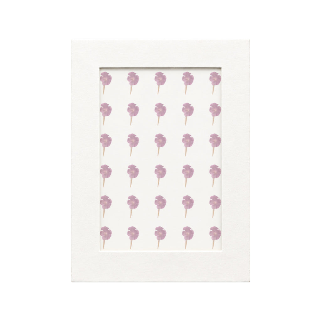 30 pressed Lantana pieces in purplish red beneath translucent tracing paper