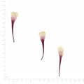 Pressed Columbine Petals specimens in purplish red with their natural shape and texture