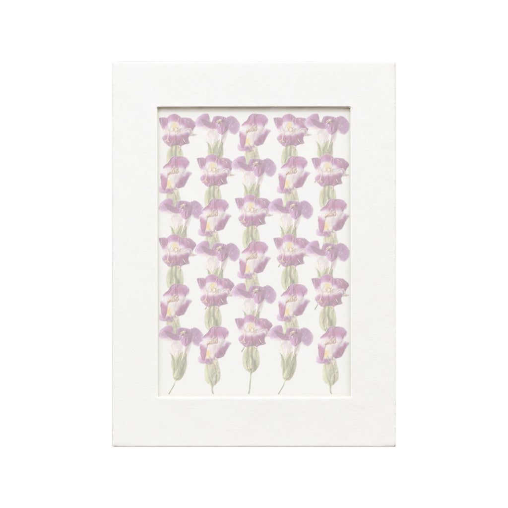 30 pressed Wishbone Flower pieces in red beneath translucent tracing paper