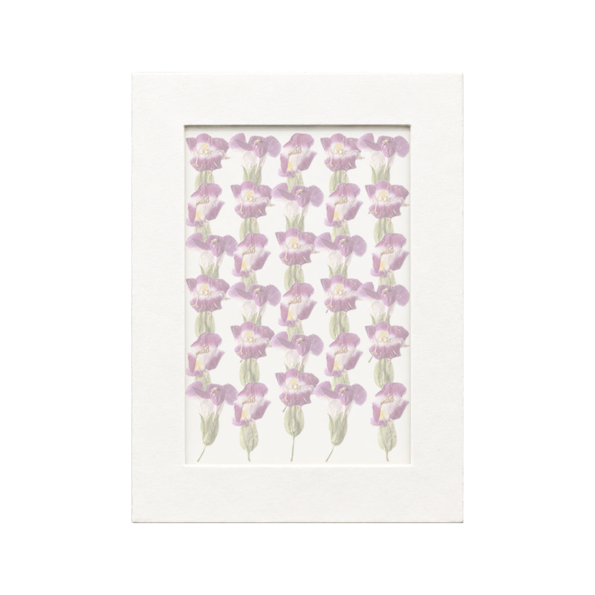 30 pressed Wishbone Flower pieces in red beneath translucent tracing paper