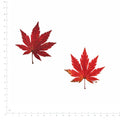 Pressed Maple Leaves, Red beside a 180 mm ruler