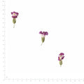 Pressed Wishbone Flower specimens in red with their natural shape and texture